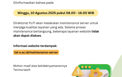[INFO PuTI] Maintenance Server