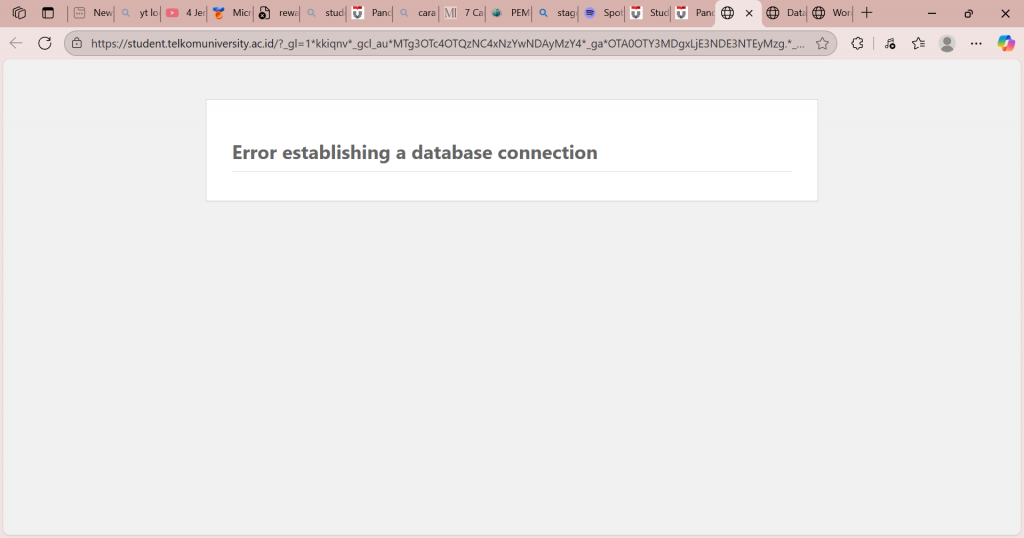 Cara menangani error establishing a database connection
