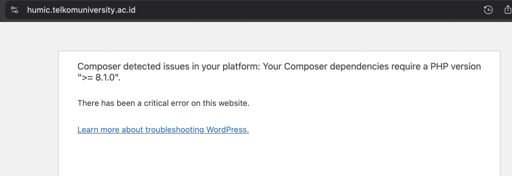 Terdapat error pada website
